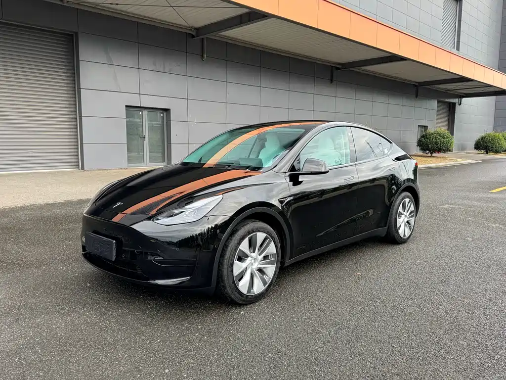 Tesla Model Y — миниатюра 3