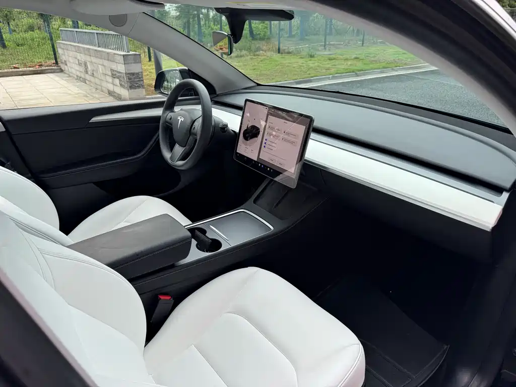 Tesla Model Y — миниатюра 10