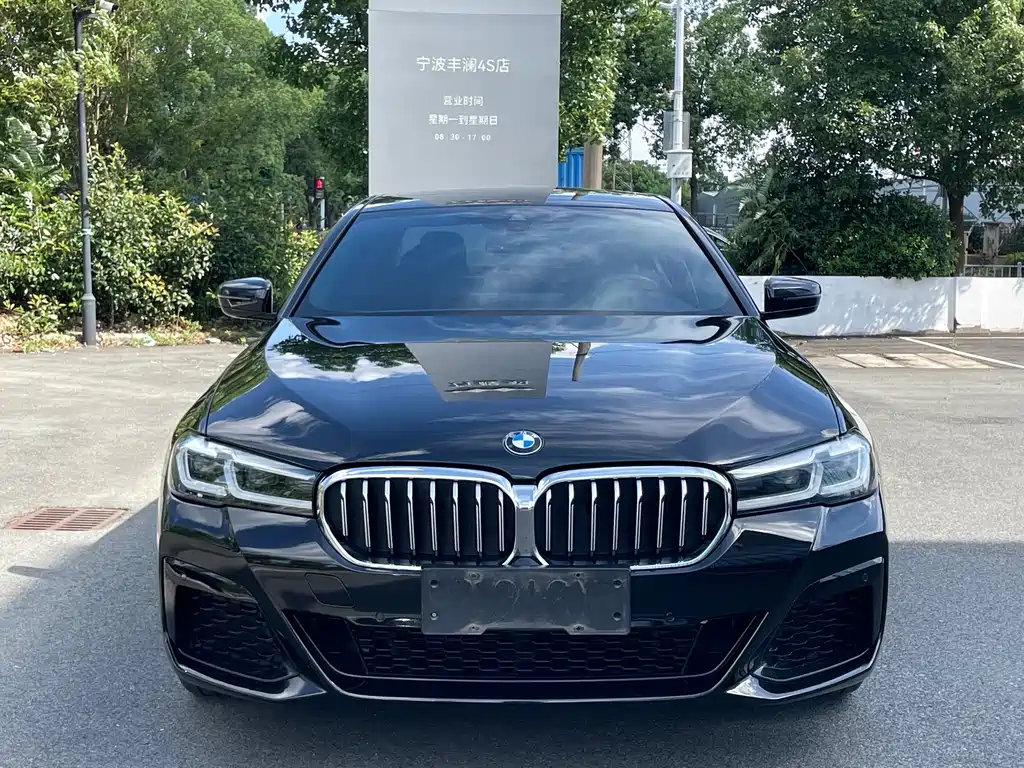 BMW 5 Series — миниатюра 2