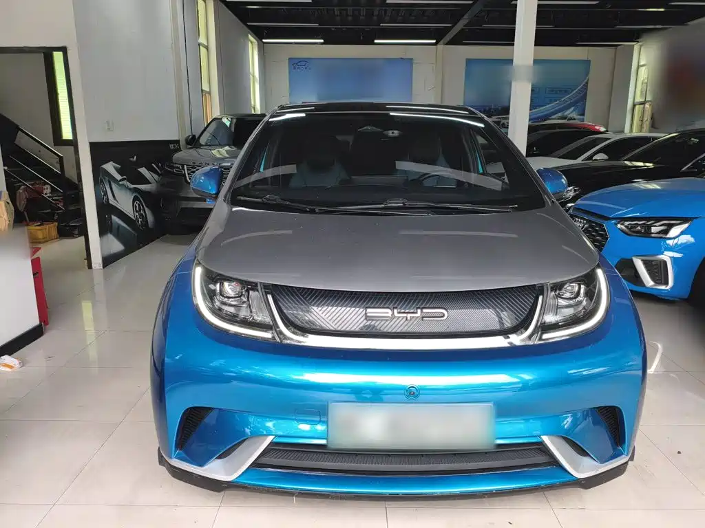 BYD Dolphin — миниатюра 3