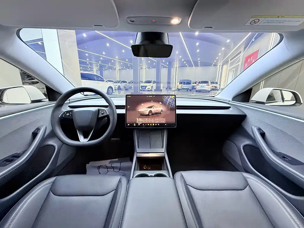Tesla Model 3 — миниатюра 11
