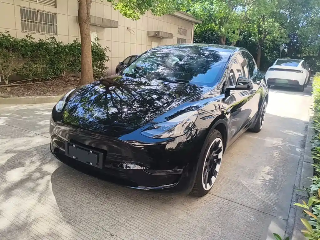 Tesla Model Y — миниатюра 2