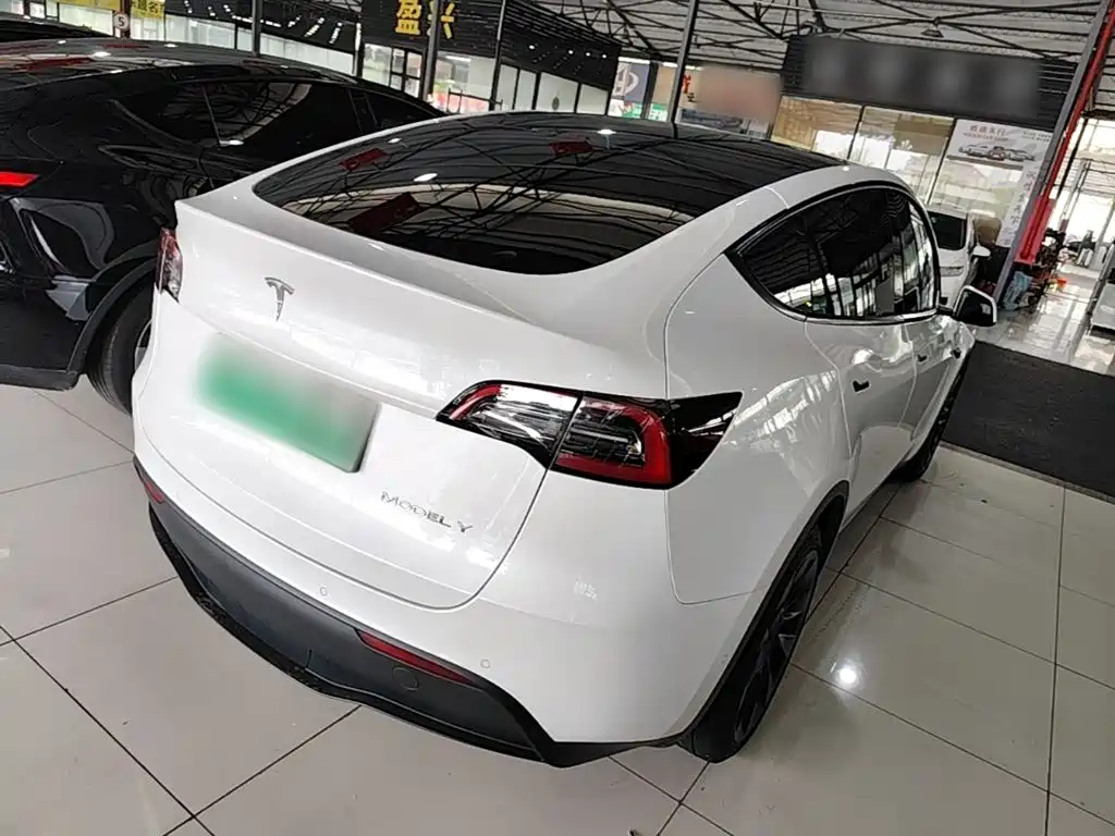 Tesla Model Y — миниатюра 7