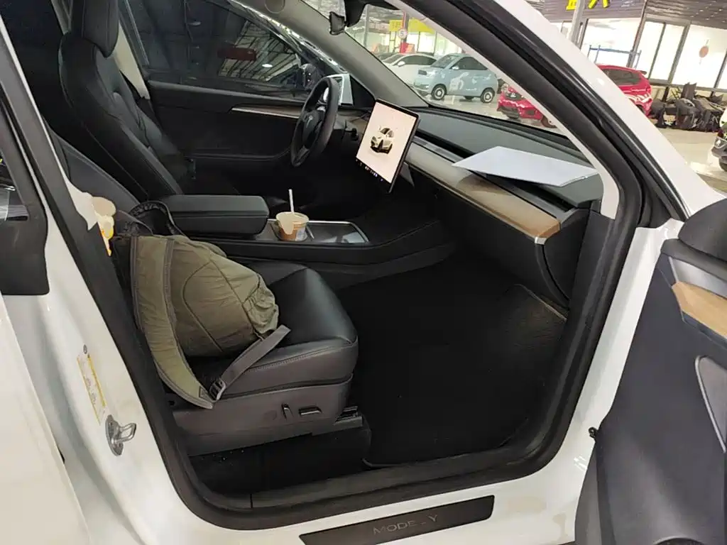 Tesla Model Y — миниатюра 25