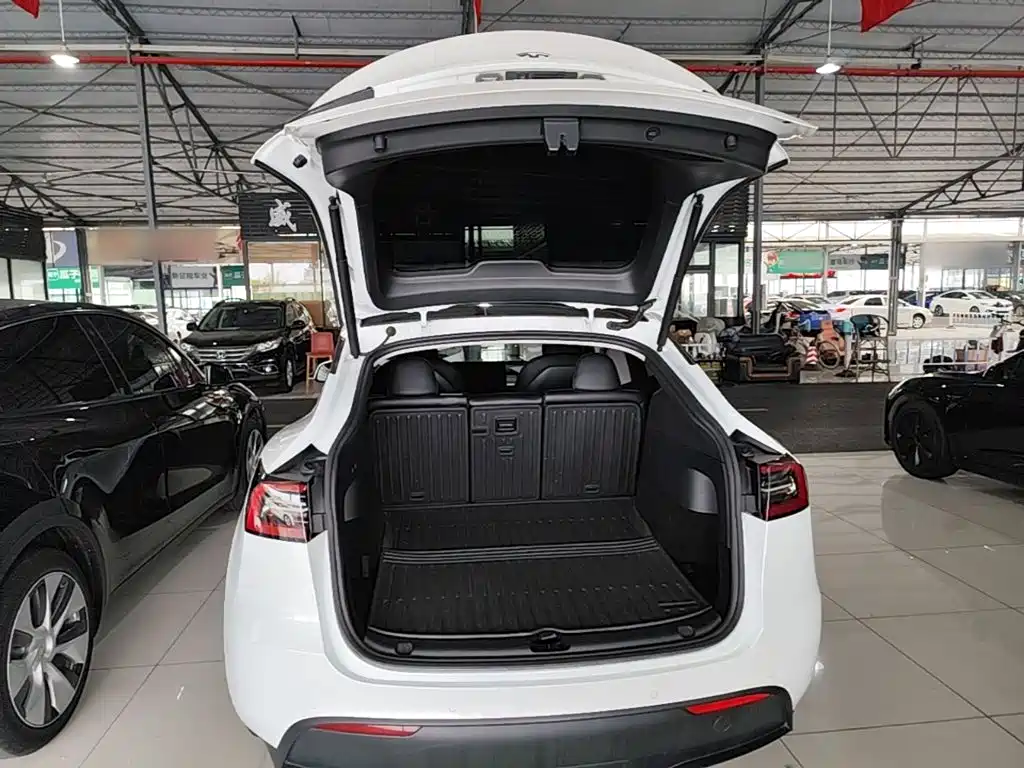 Tesla Model Y — миниатюра 19