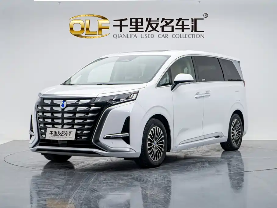 Denza Denza D9