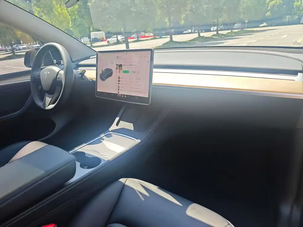 Tesla Model Y — миниатюра 6