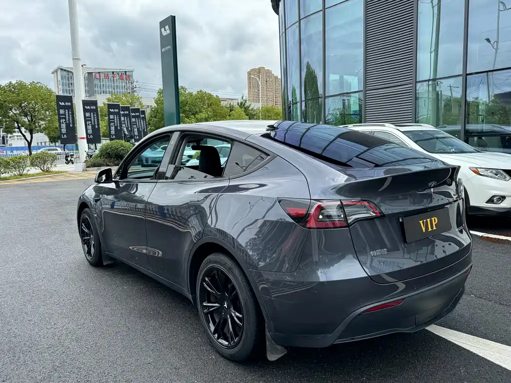 Tesla Model Y — миниатюра 4