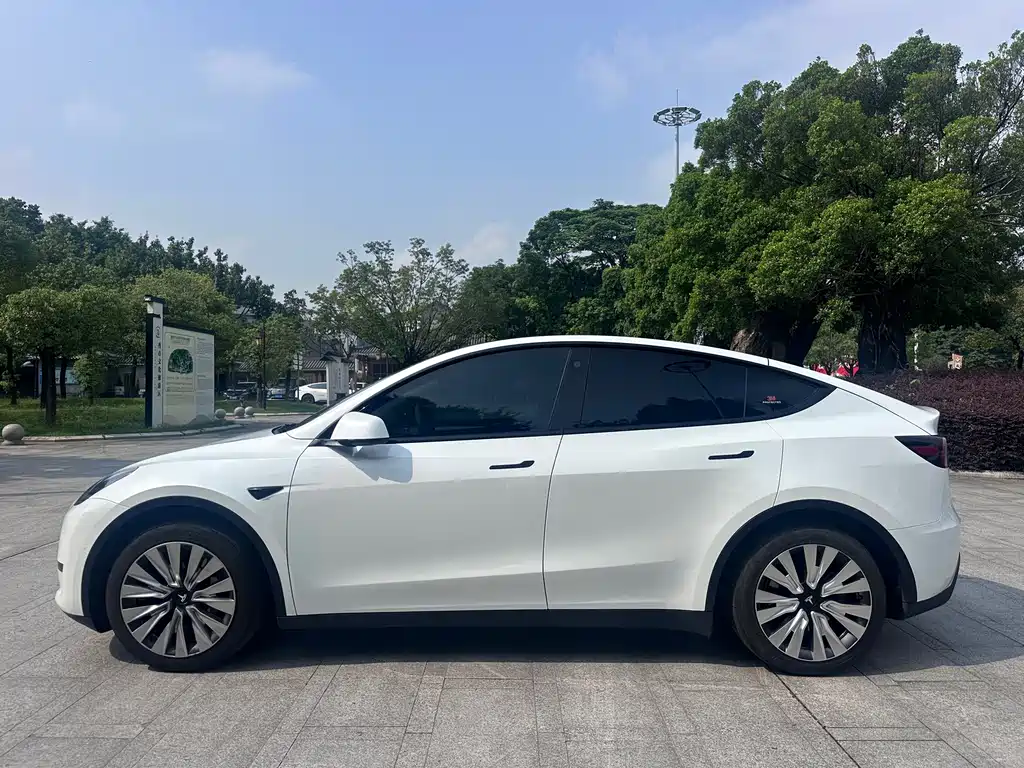 Tesla Model Y — миниатюра 4