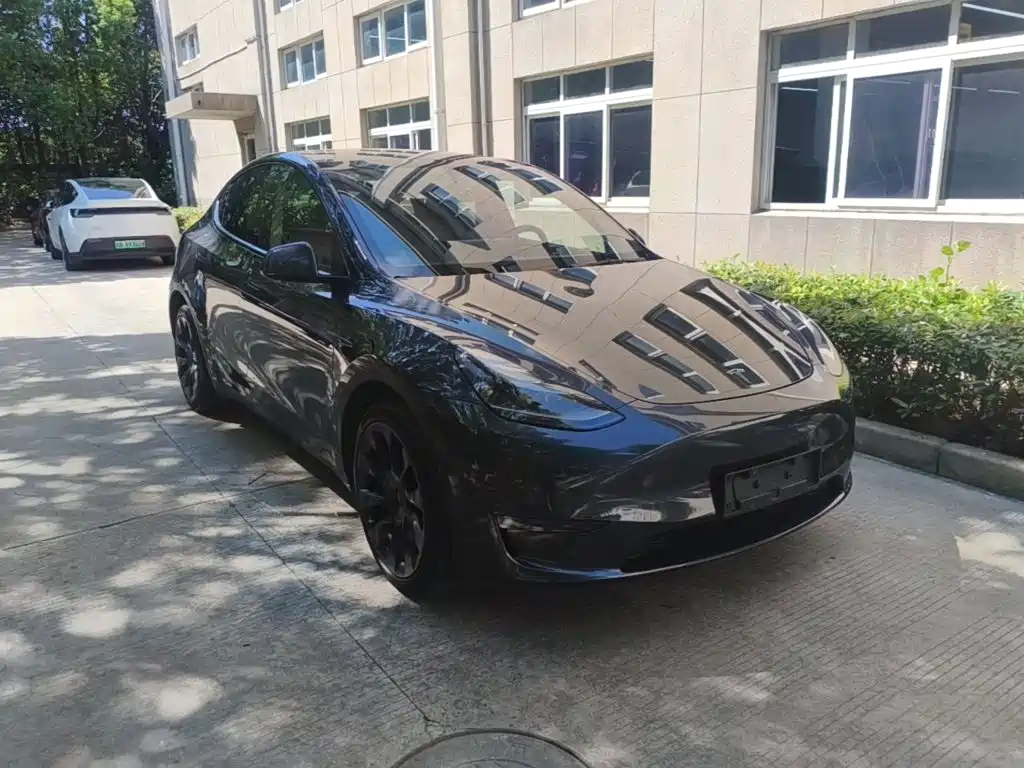 Tesla Model Y — миниатюра 4