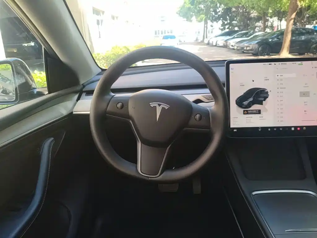 Tesla Model Y — миниатюра 11