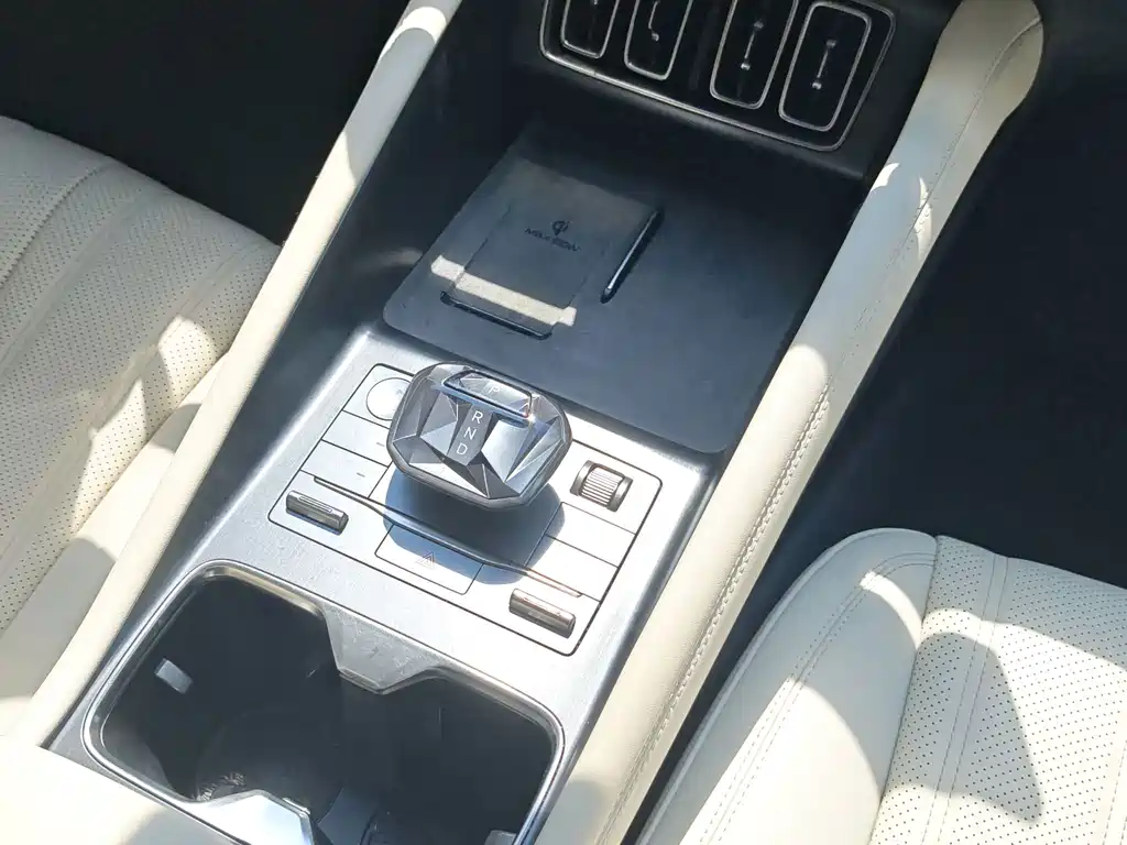 BYD L EV — миниатюра 11