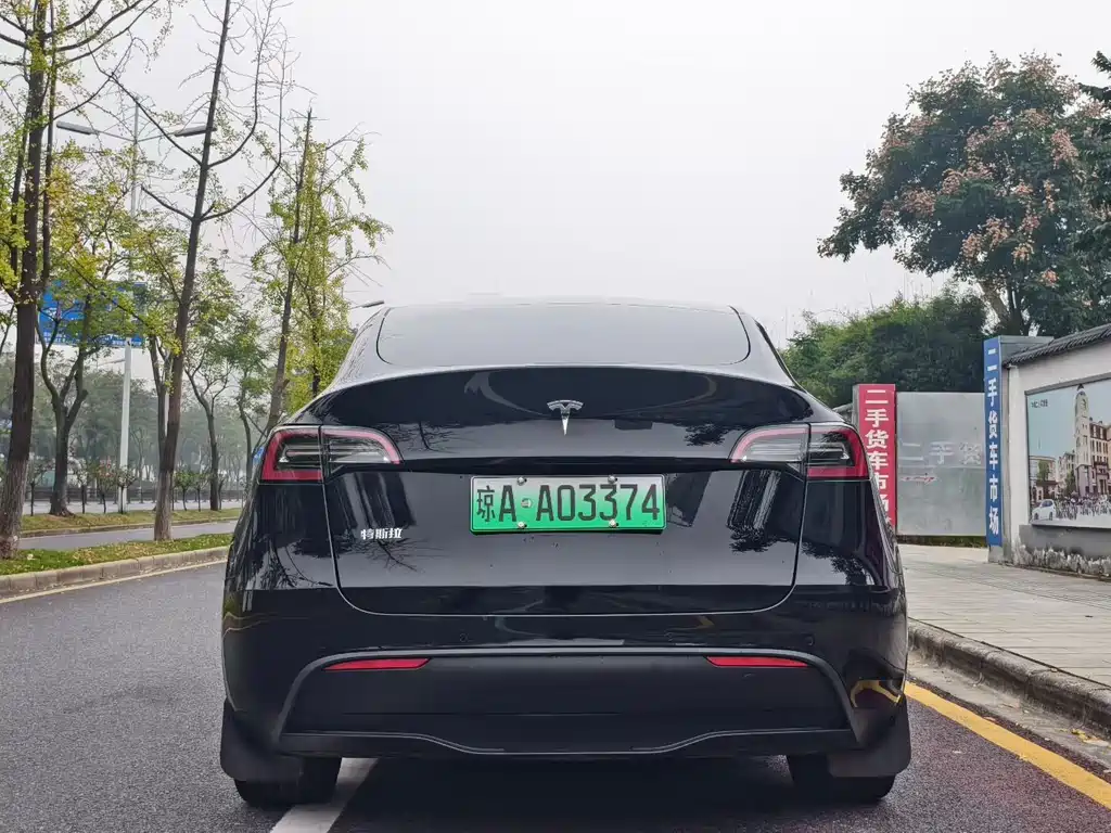 Tesla Model Y — миниатюра 8