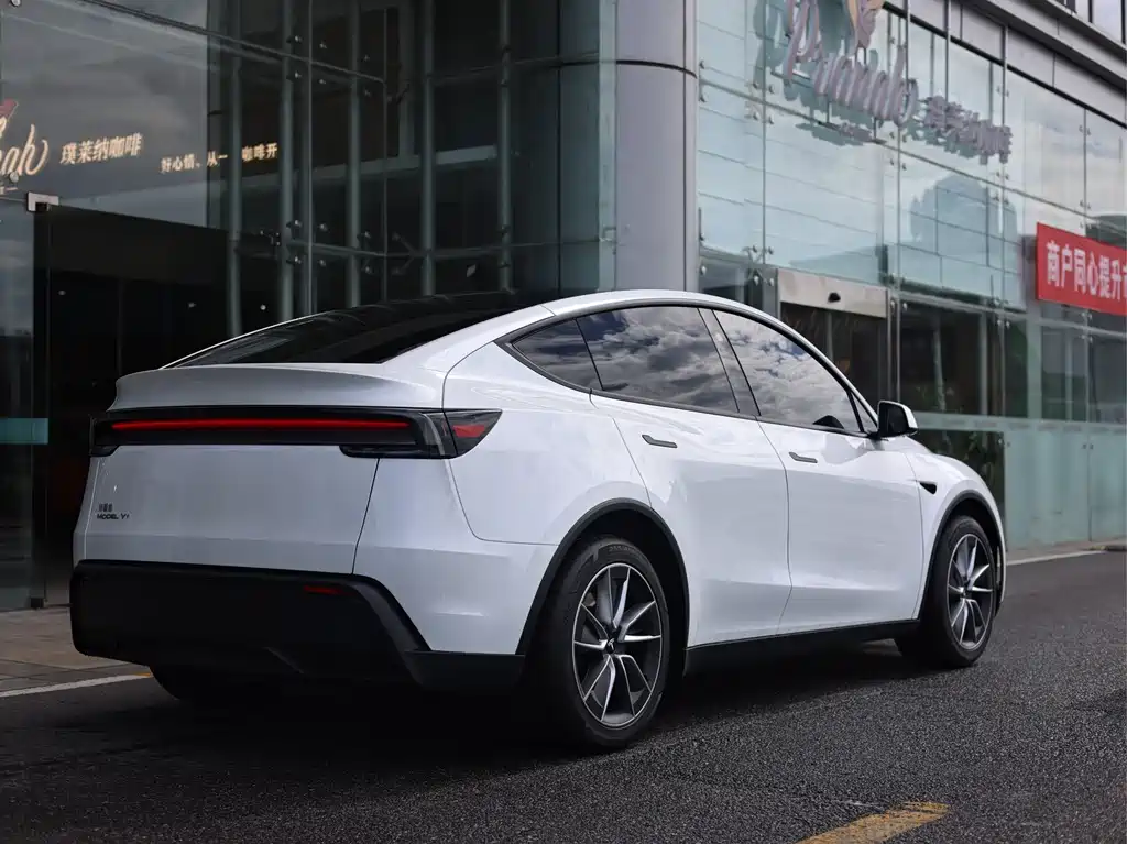 Tesla Model Y — миниатюра 4