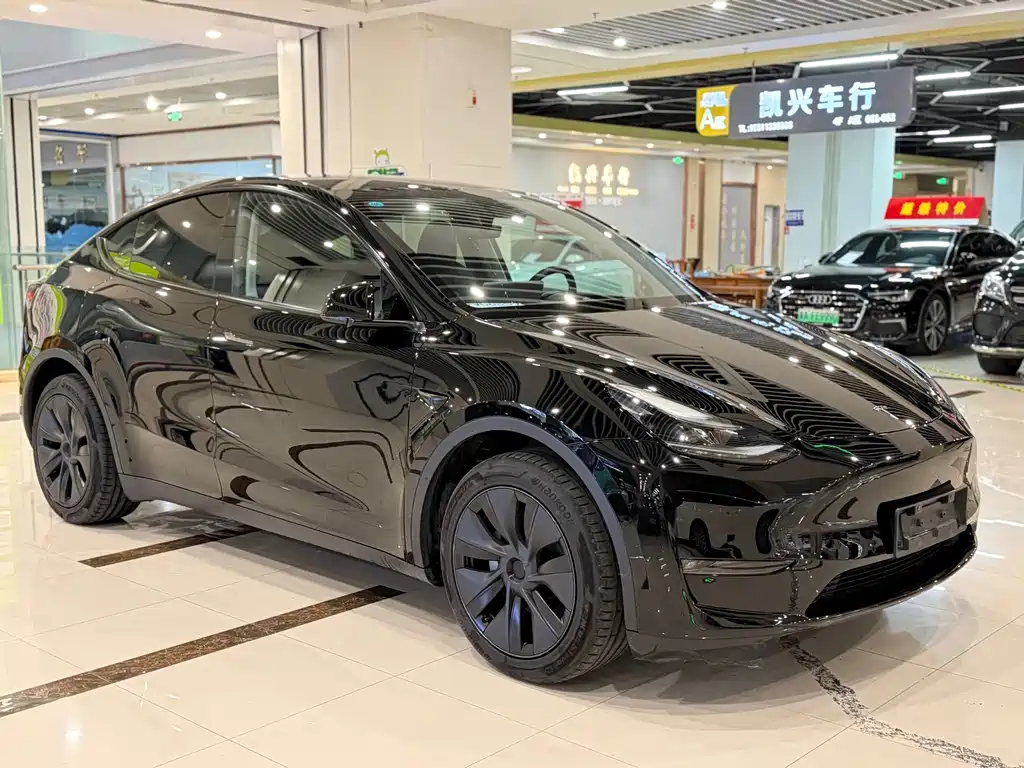 Tesla Model Y — миниатюра 3