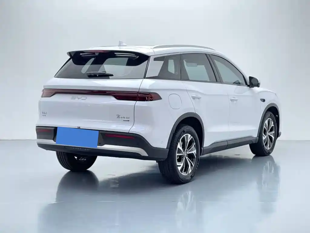 BYD Pro — миниатюра 4