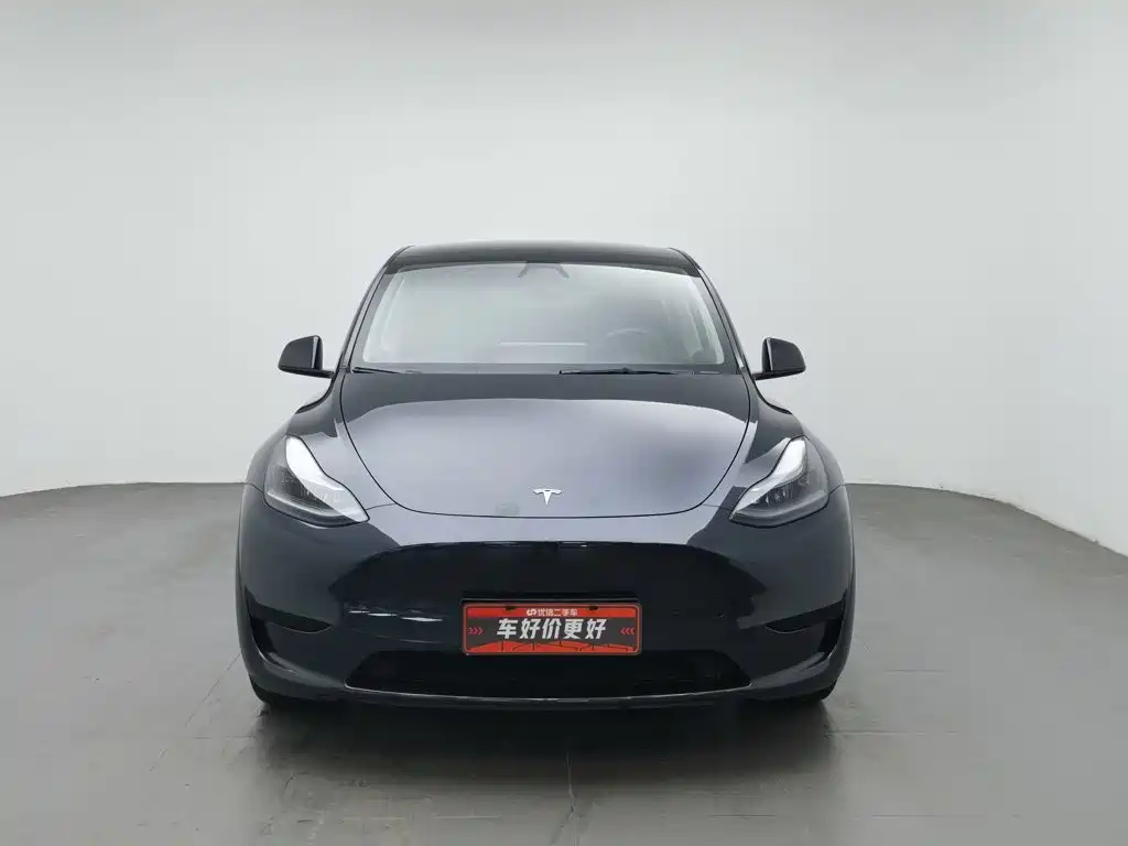 Tesla Model Y — миниатюра 3