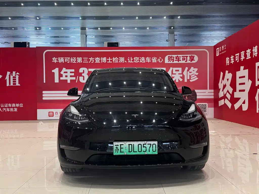 Tesla Model Y — миниатюра 2