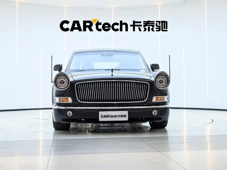 Hongqi Hongqi Golden Sunflower Guoli — миниатюра 6