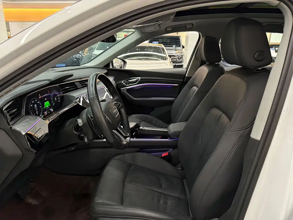 Audi e-tron (Import) — миниатюра 7