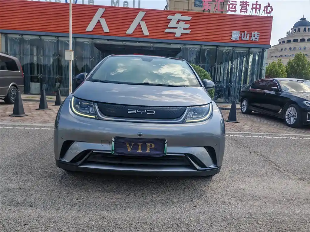 BYD Dolphin — миниатюра 2