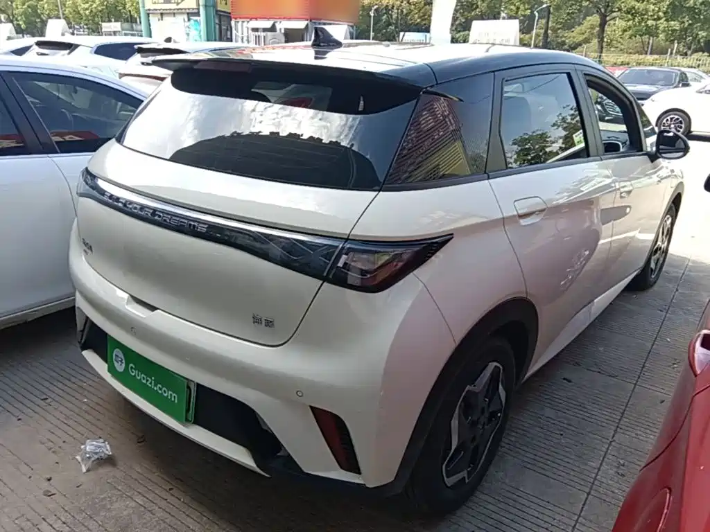 BYD Dolphin — миниатюра 7