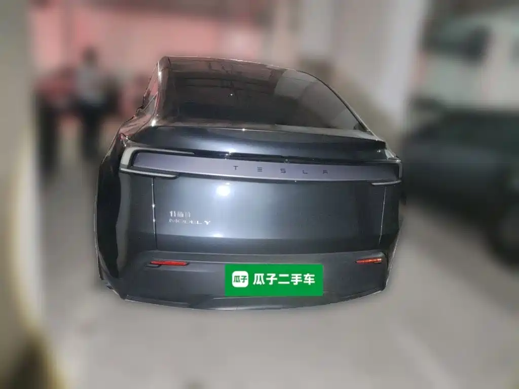 Tesla Model Y — миниатюра 5