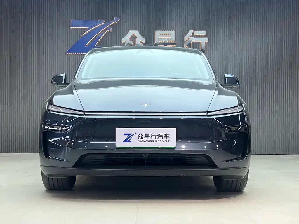 Tesla Model Y — миниатюра 2