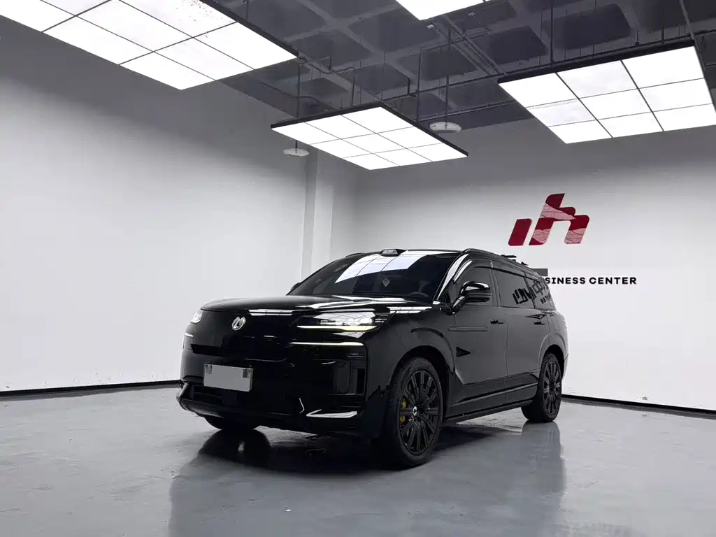 Denza Туннель N9