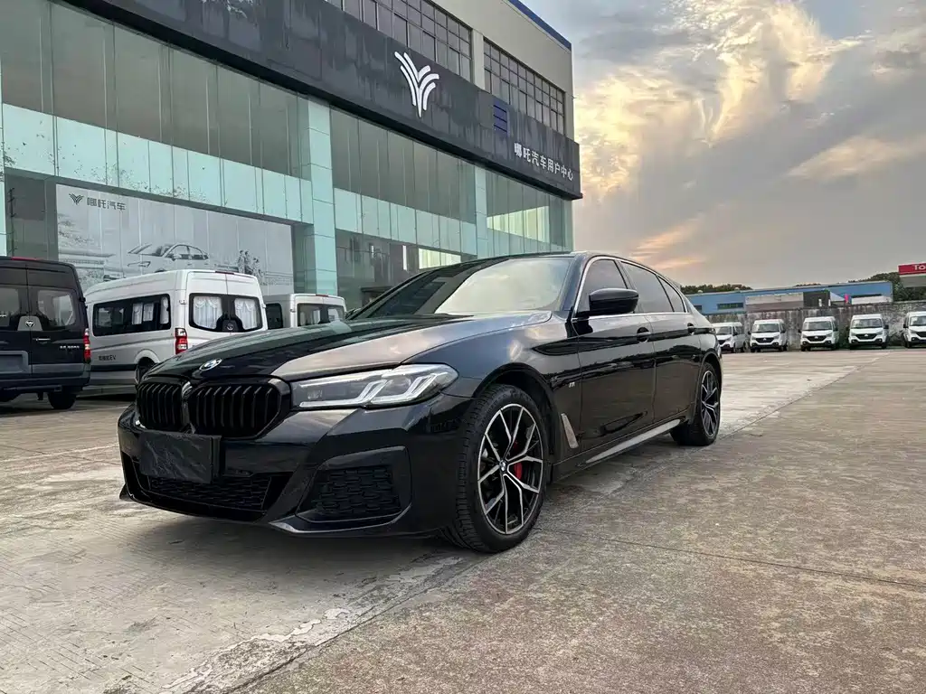 BMW 5 Series — миниатюра 2