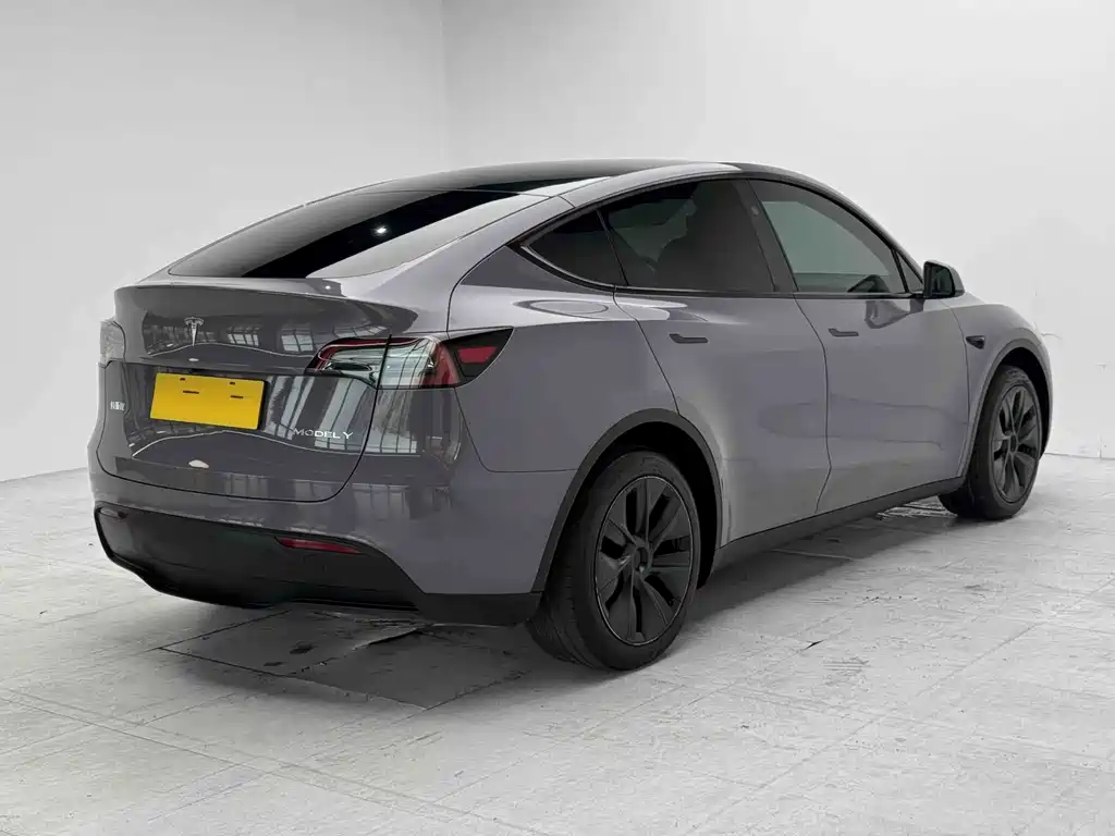 Tesla Model Y — миниатюра 5