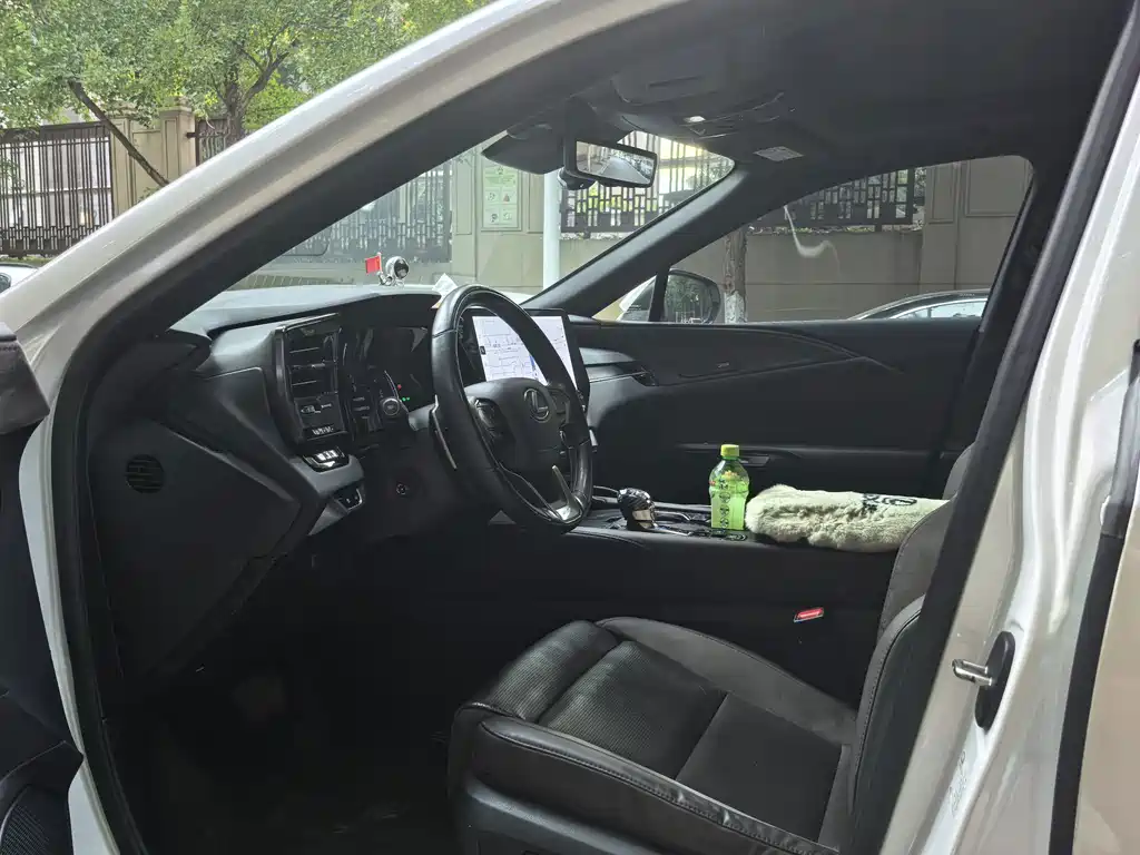 Lexus RX New Energy — миниатюра 4