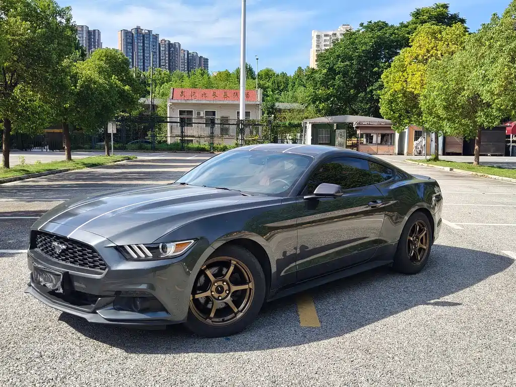 Ford Mustang — миниатюра 10