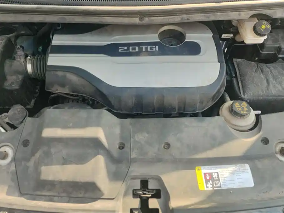 SAIC MAXUS CHASE G20