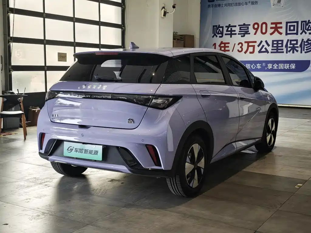 BYD Dolphin 2023 420km Fashion