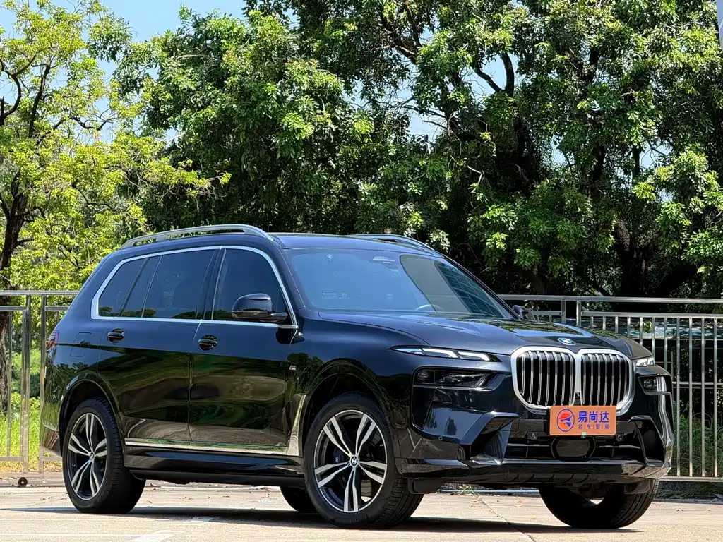 BMW X7 — миниатюра 3