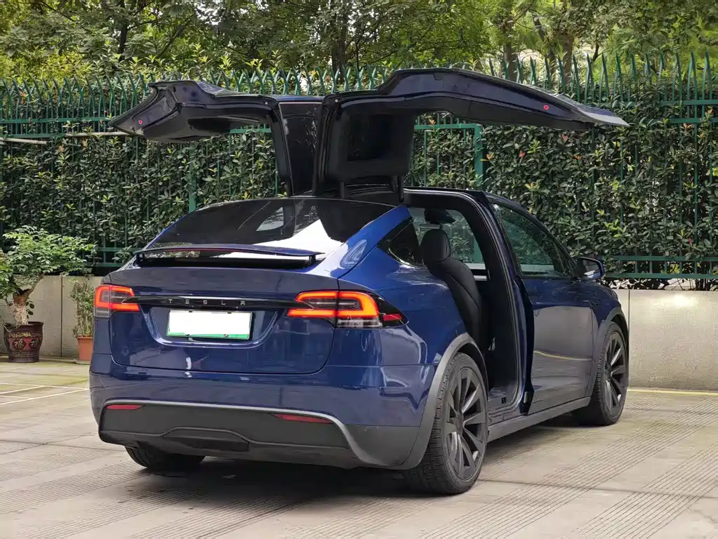 Tesla Model X — миниатюра 14