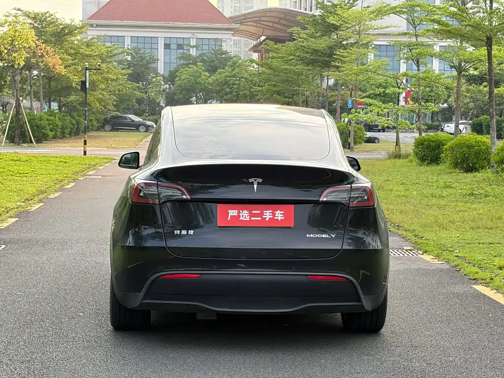 Tesla Model Y — миниатюра 8