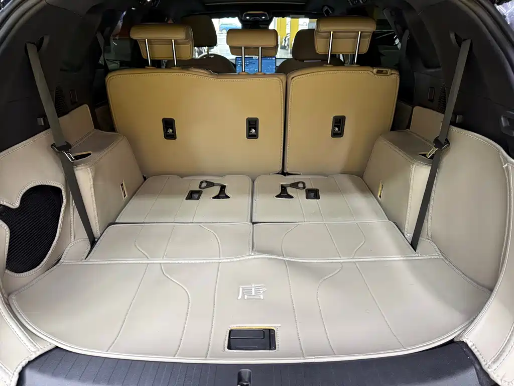 BYD Tang New Energy — миниатюра 24