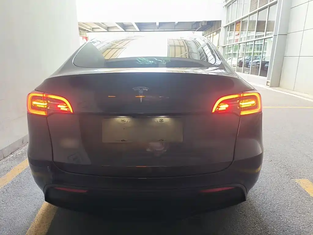 Tesla Model Y — миниатюра 6