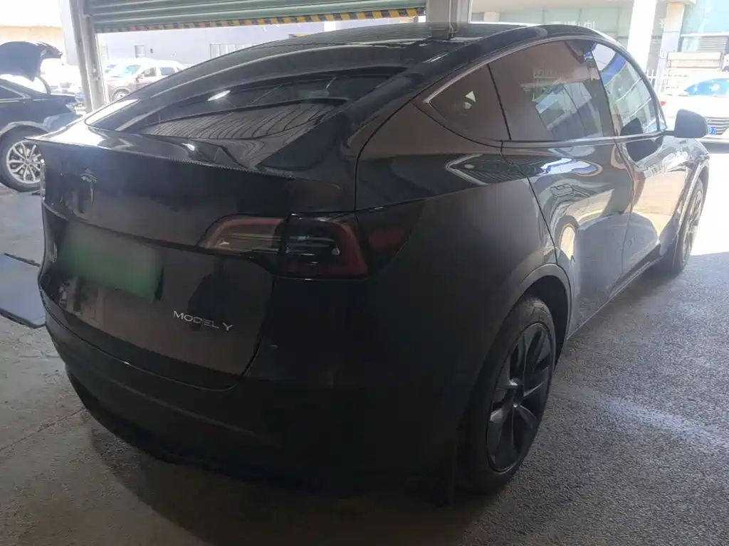 Tesla Model Y — миниатюра 7