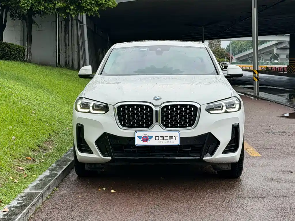 BMW X4 — миниатюра 2