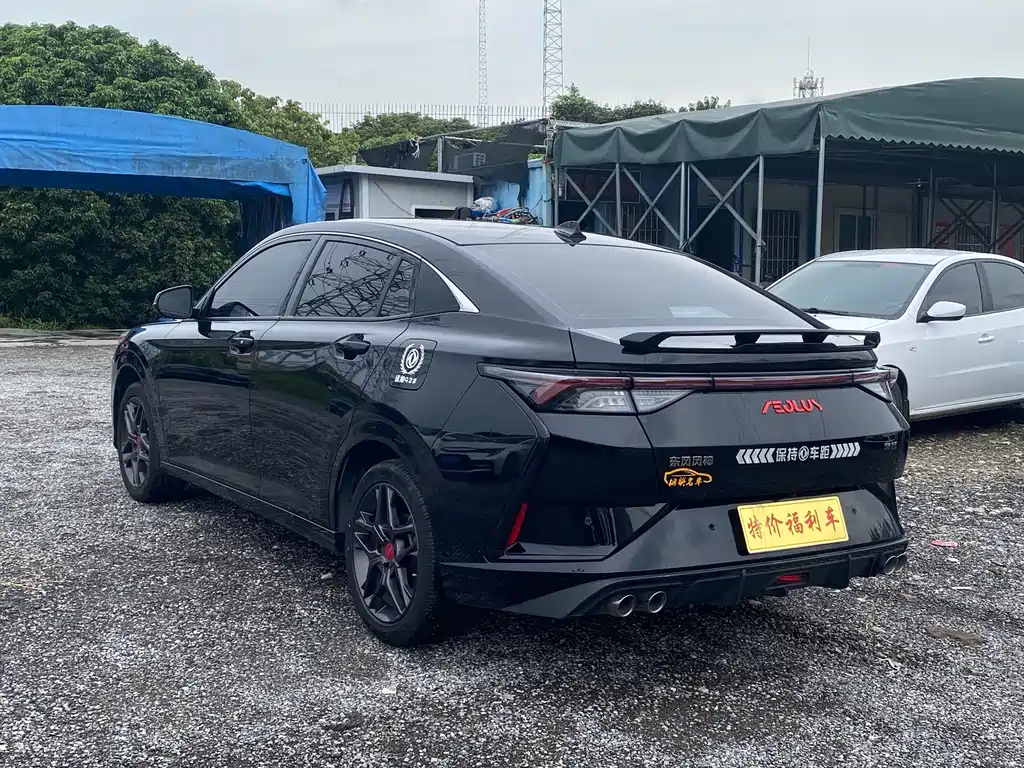 Aeolus Yixuan — миниатюра 5