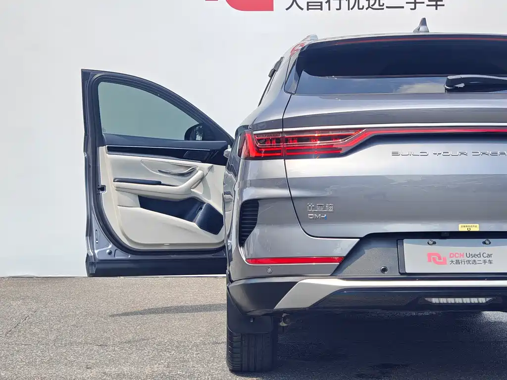BYD PLUS New Energy — миниатюра 9