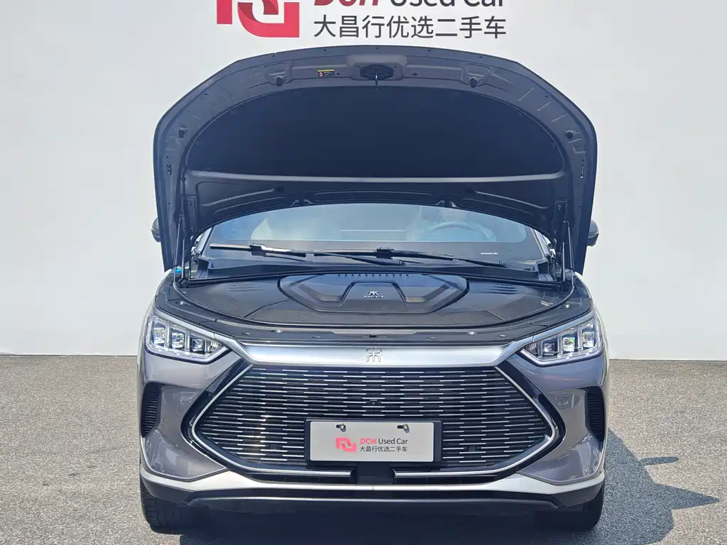BYD PLUS New Energy — миниатюра 12