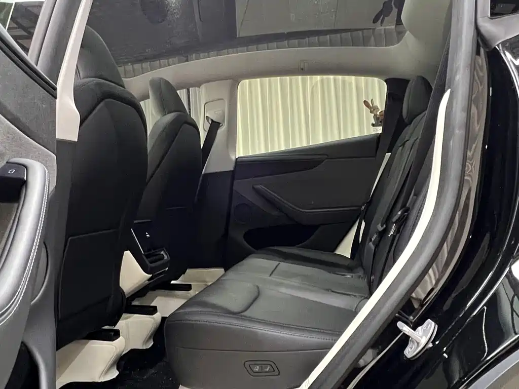 Tesla Model Y — миниатюра 11