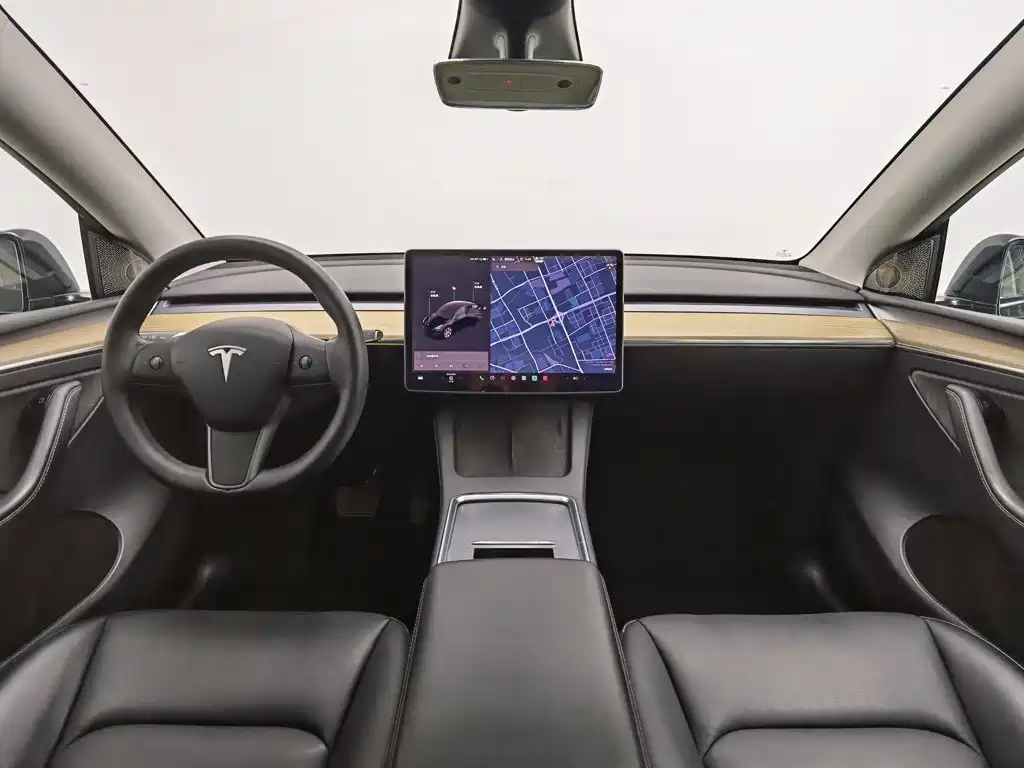 Tesla Model Y — миниатюра 5