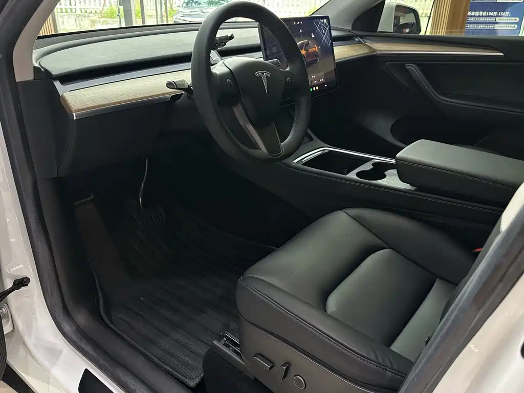 Tesla Model Y — миниатюра 10