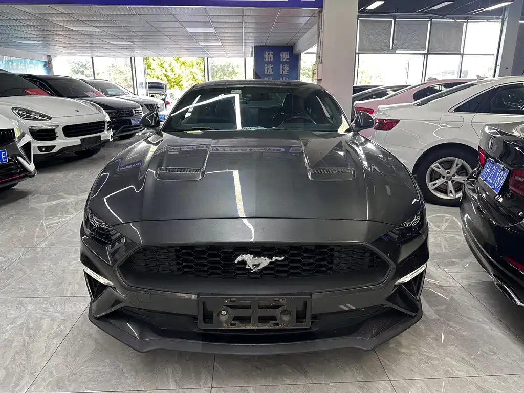 Ford Mustang — миниатюра 2