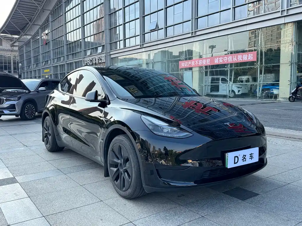 Tesla Model Y — миниатюра 5
